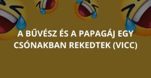 A bűvész és a papagáj egy csónakban rekedtek (Vicc)