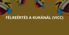 Félreértés a kukánál (Vicc)