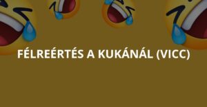 Félreértés a kukánál (Vicc)