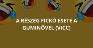 A részeg fickó esete a guminővel (Vicc)