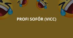 Profi sofőr (Vicc)