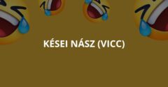 Kései nász (Vicc)