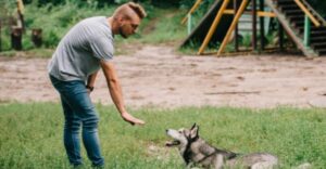 A kutyakiképző elárulta, hogyan lehet pár perc alatt megtanítani a kutyát „maradni”. A gazdik azonban hibát követnek el!