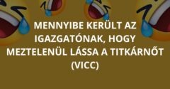 Mennyibe került az igazgatónak, hogy meztelenül lássa a titkárnőt (Vicc)
