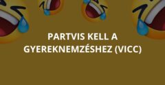 A partvis kell a gyereknemzéshez (Vicc)