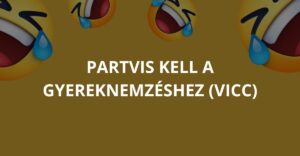 A partvis kell a gyereknemzéshez (Vicc)