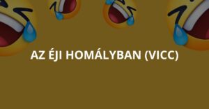 Az éji homályban (Vicc)