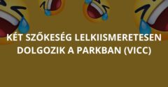 Két szőkeség lelkiismeretesen dolgozik a parkban (Vicc)