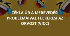 Cékla úr a merevedési problémáival felkeresi az orvost (Vicc)