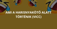 Ami a harisnyakötő alatt történik (Vicc)