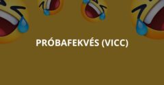 Próbafekvés (Vicc)