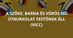 A szőke, barna és vörös nő útburkolat festőnek áll (Vicc)