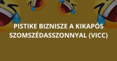 Pistike biznisze a kikapós szomszédasszonnyal (Vicc)