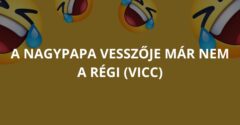 A nagypapa vesszője már nem a régi (Vicc)