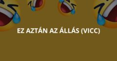 Ez aztán az állás (Vicc)