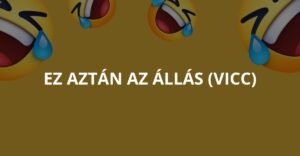 Ez aztán az állás (Vicc)