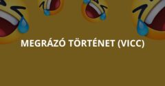Megrázó történet (Vicc)
