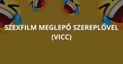 Szexfilm meglepő szereplővel (Vicc)