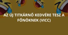 Az új titkárnő kedvére tesz a főnöknek (Vicc)