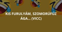 Kis furulyám, szomorúfűz ága… (Vicc)