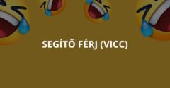 Segítő férj (Vicc)