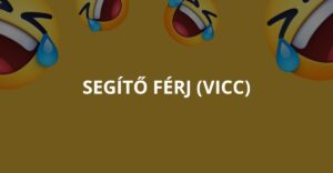 Segítő férj (Vicc)