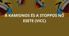 A kamionos és a stoppos nő esete (Vicc)