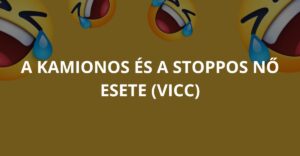 A kamionos és a stoppos nő esete (Vicc)
