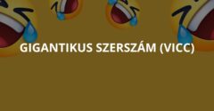 Gigantikus szerszám (Vicc)