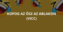 Kopog az ősz az ablakon (Vicc)