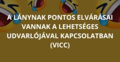 A lánynak pontos elvárásai vannak a lehetséges udvarlójával kapcsolatban (Vicc)