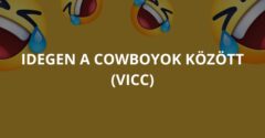 Idegen a cowboyok között (Vicc)