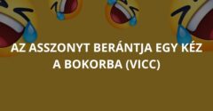 Az asszonyt berántja egy kéz a bokorba (Vicc)