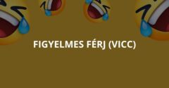 Figyelmes férj (Vicc)